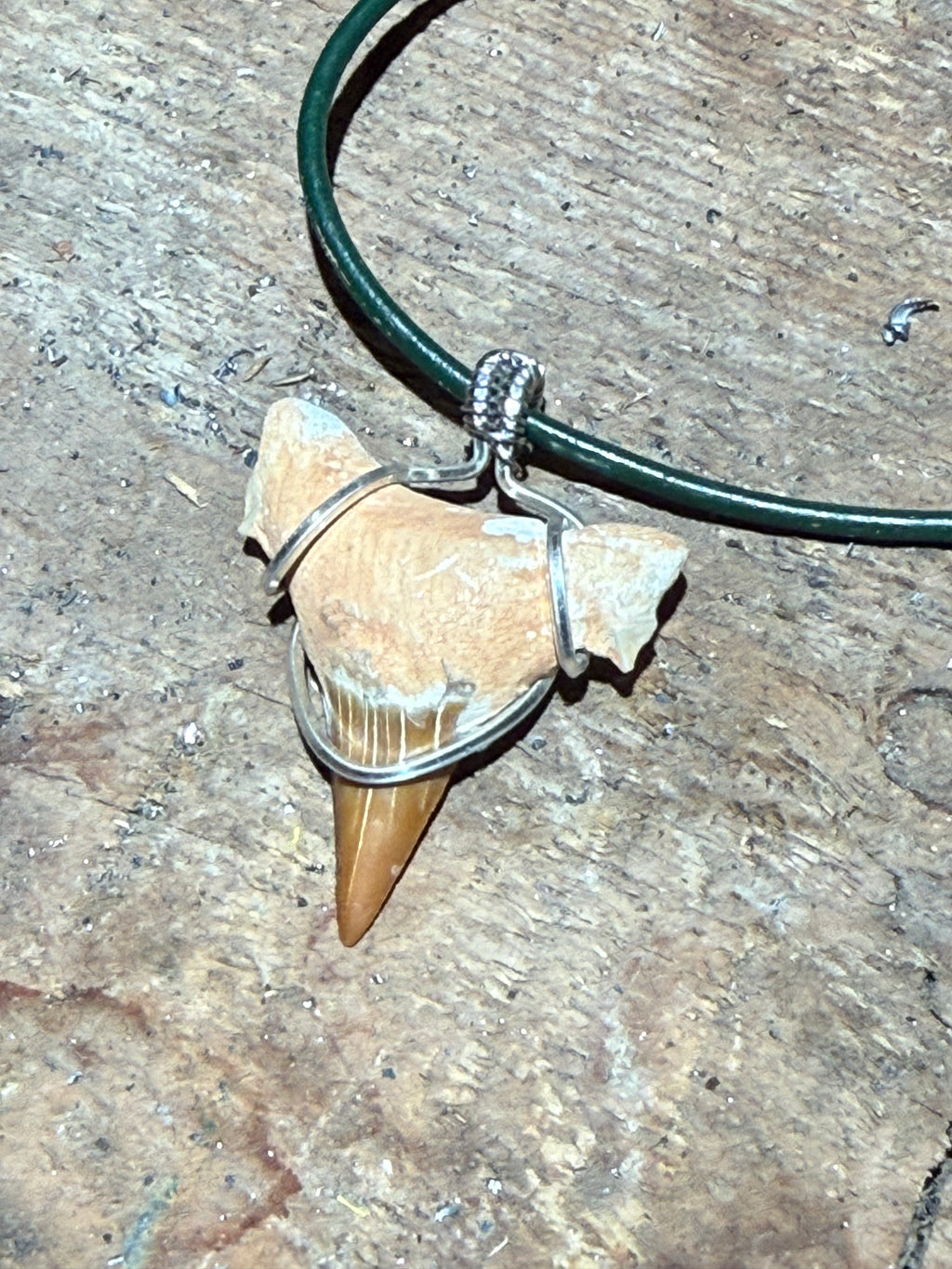 Shark Tooth Necklace