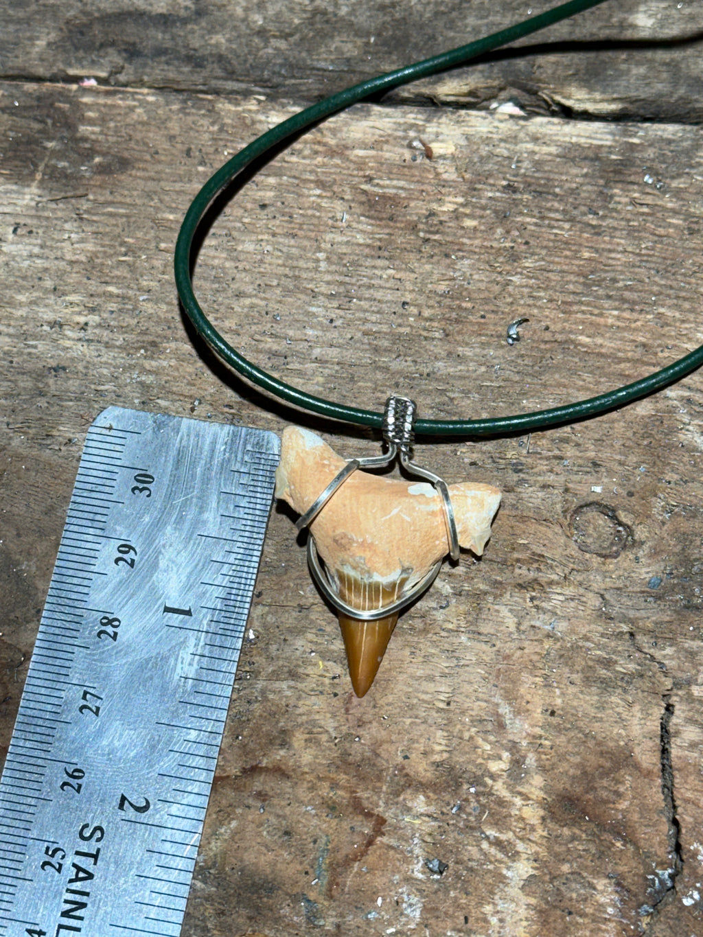Shark Tooth Necklace